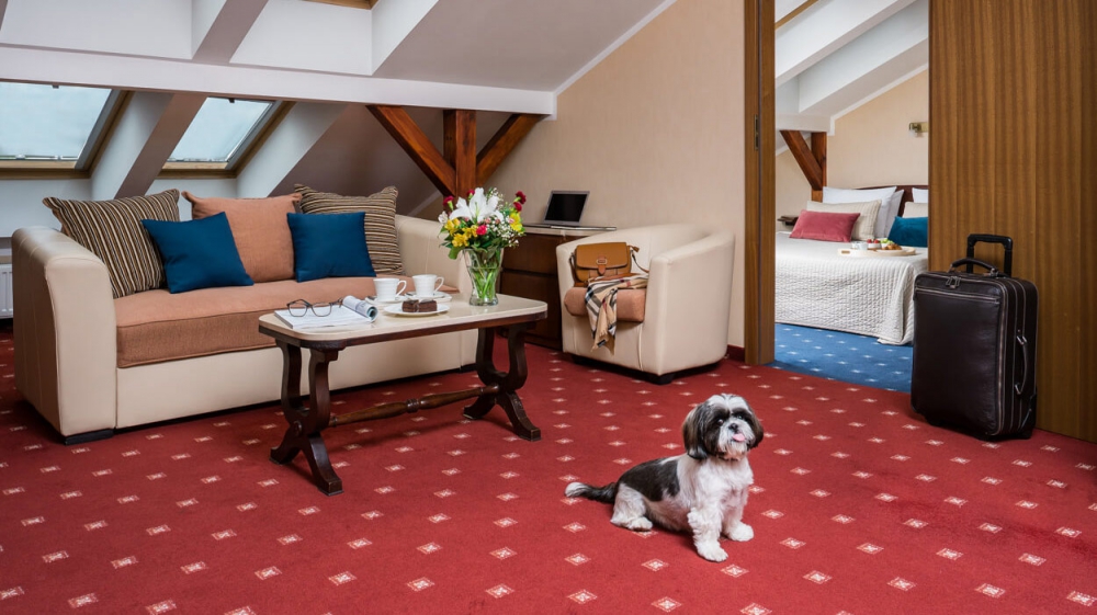 Apartament rodzinny