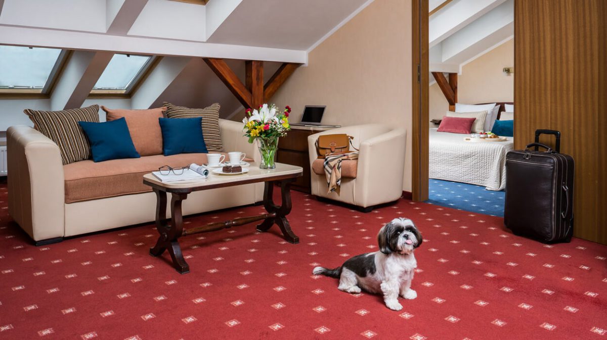 Apartament rodzinny